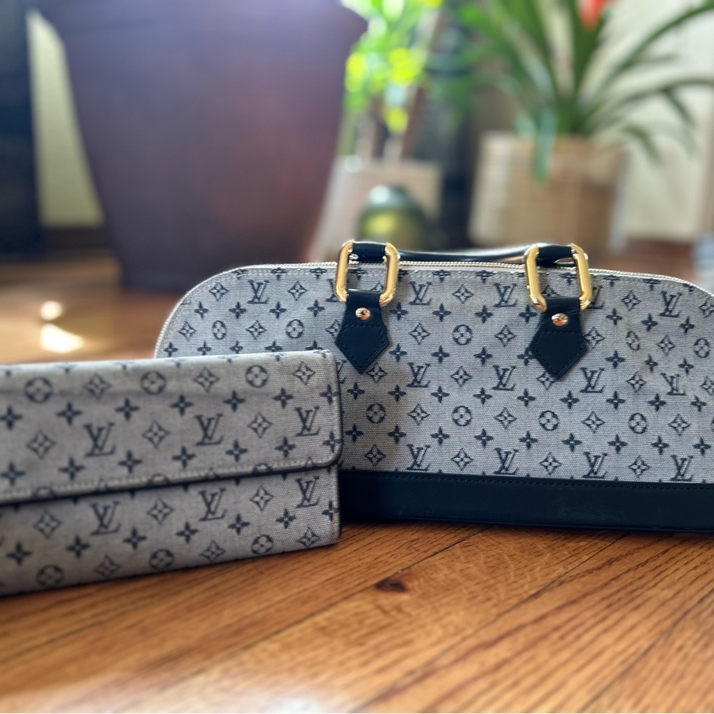 Louis Vuitton handbag and pouch